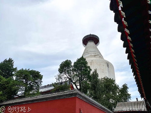 北京白塔寺,元代古建筑的网红成名之路