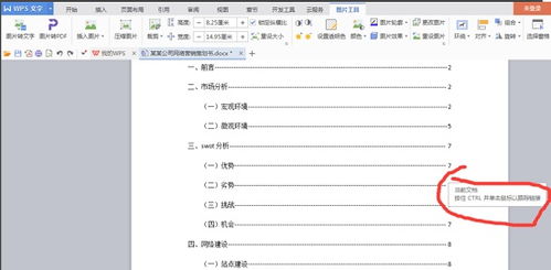 wpsoffice免费版下载 wpsoffice免费版电脑下载安装 系统家园 