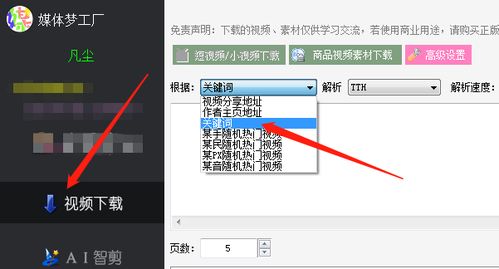 如何用关键字解析西瓜视频短片并保存的方法及步骤