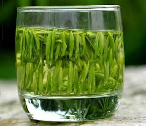 空腹喝绿茶容易伤胃