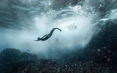 龙会不会一直藏身在深海,所以直到现在都没有被人发现