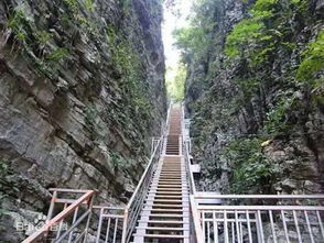 长沙 韶山 云天渡玻璃桥 天门山 凤凰古城双飞六天