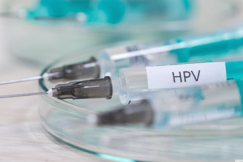 多地免费接种hpv疫苗(多地免费接种HPV疫苗)