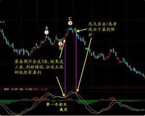 顺势趋势必涨第一讲，怎么样买到未来一定会涨的股票