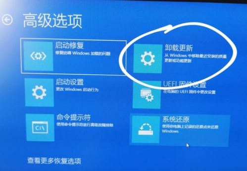 win11任务栏空白消失不显示什么原因 win11任务栏卡死重启也没用 