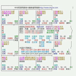 帮忙看一下紫薇命盘,求高人指点详解 夫妻宫坐破军是否一定会离婚 婚姻财运事业怎样 2013运势如何 