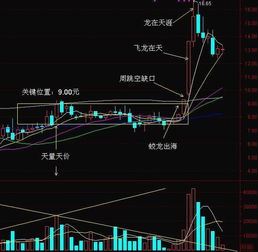 在同花顺或者至强版看股票的软件怎样显示预计成交量