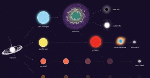 恒星如何从尘埃云中诞生,在其生命周期中将遭受怎样的命运
