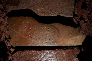 韩国古墓里发现1500年前星座图
