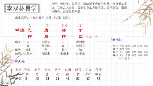 日干五行属金什么意思