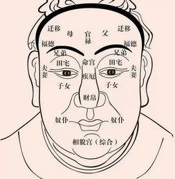 一生富贵的七种身型