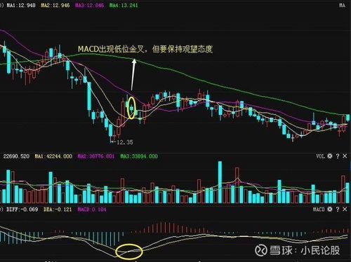 论文查重软件盈利案例分享：成功经验与教训