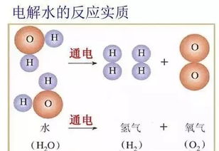 加水就能跑 ,水氢车的创始公司破产,庞青年造车梦碎