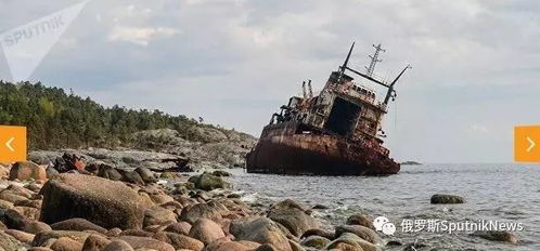 独家专题 中俄 戈格兰岛 联合探险 交流生态与环保