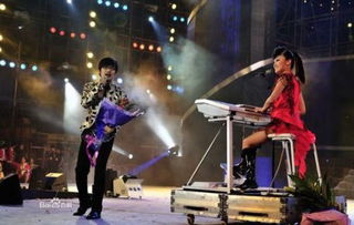 中国一男一女组合男的唱歌女的弹电子琴叫什么组合呀 