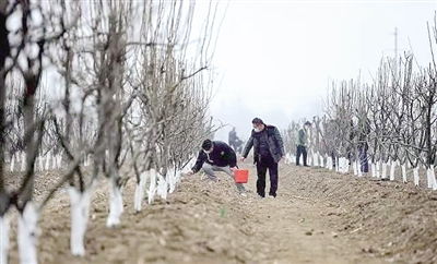 在一次植树活动中，第一组27人挖树坑，第二组19人栽树，又调来20人支援植树活动，已知挖树坑的工作量比栽树的动