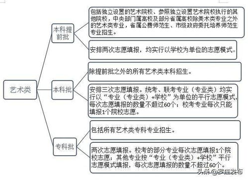 招生选材方案范文,本科留学高中要怎么规划？