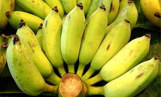 香蕉可以吃多吗有哪些禁忌（有这三大特征谨慎食用）