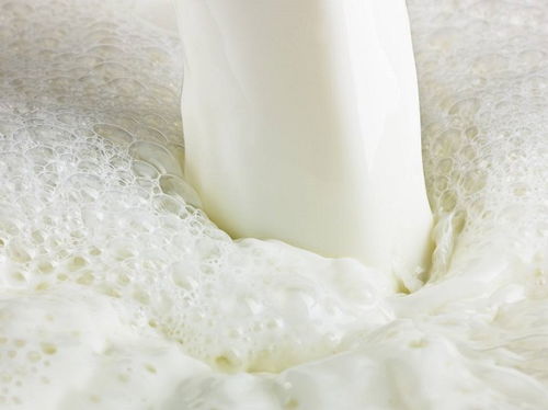 牛奶结块还能喝吗 是正常结块还是变质了 这样区分