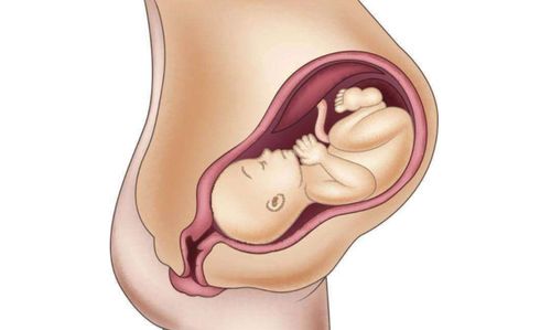 原创孕晚期出现这两种情况，表明胎儿要提前出生，孕妈要记住
