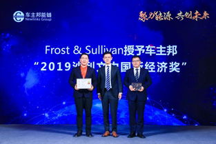 Frost &； Sullivan 是咨询公司么？主要业务是什么？在业界地位如何？在中国的发展如何？