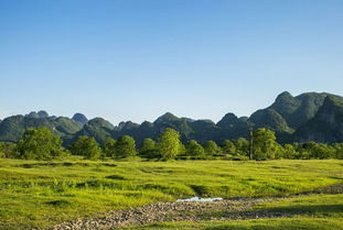 春游去桂林有哪些好景点 桂林适合踏青的地方 