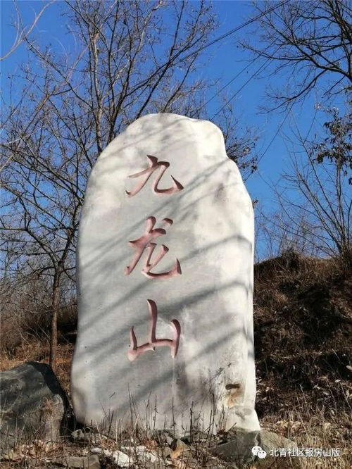 九龙山的“大房山”的底细