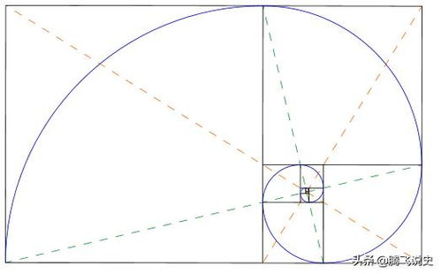 斐波那契螺旋线的介绍