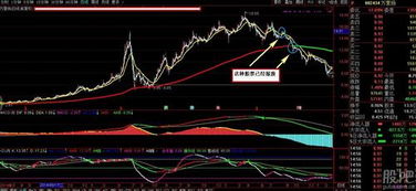 股票里面是不是存在如果公司宣布破产了`那这个股票也就报废了?那基金呢?存在这个状况么?