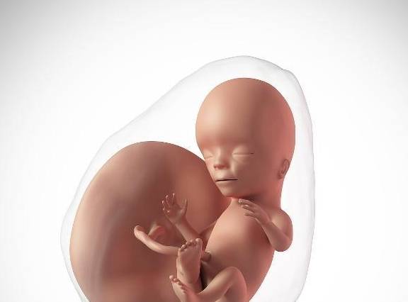 胎儿若发生这个问题,孕妈若最好做好以下准备,或许有助胎儿发育