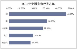 2018年宠物行业概述和现状分析,宠物医疗市场将带来巨大发展空间