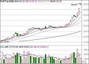 中体产业 这支股票年后走势如何？