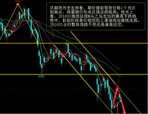 投顾可以指导客户买入准确点位吗