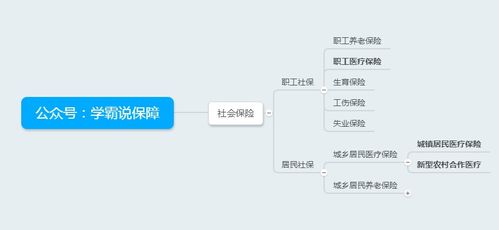 农村合作医疗和社保医疗哪个好