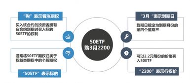 普通机构投资者参与期权交易，应当符合哪些条件