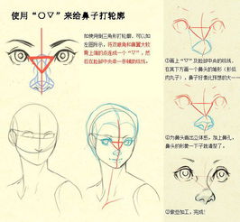 超全面的鼻子画法,全是干货,可别再错过了