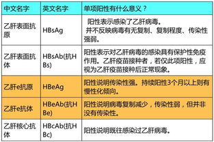 乙肝检查，二四项阳性，五项数值分别为HBSAG 0.189，HBSAB>；960，HBEAG 0.036，HBEAB 0.251，HBCAB 0.232