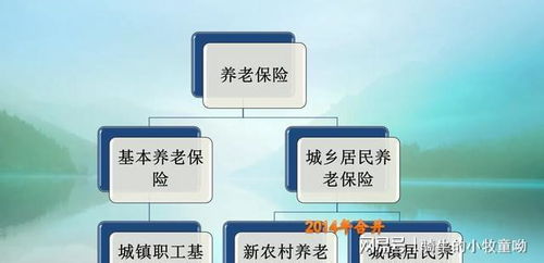 青岛怎么退养老保险费个人在青岛投的养老保险,现在离开不想投了能退出来吗