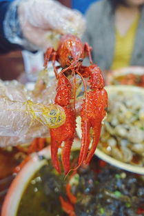 新潮 喝着豆浆,吃 爱马仕 龙虾 小碳炉烧烤,这家奶奶风十足的 吃饭公司 即将霸屏票圈