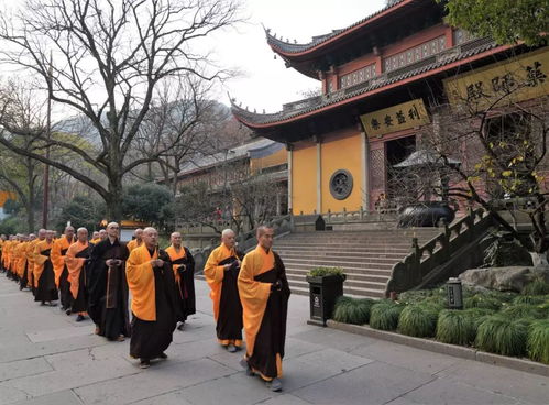 新闻 杭州灵隐寺己亥冬月禅七起七