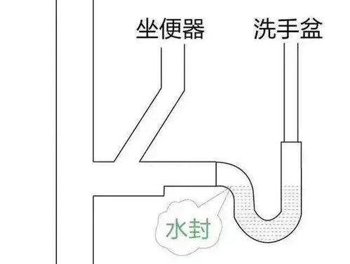 卫生间设计,我绝不将就