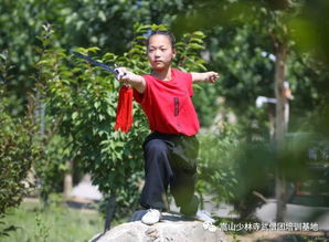 捷报 不负众望 2022年冬奥会跨界选材,武僧团又有31名学员榜上有名 