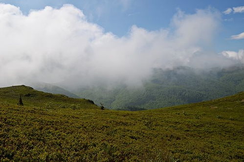 古蘭圖騰這個東西真的有效嗎 ，象山醫療器械專賣店