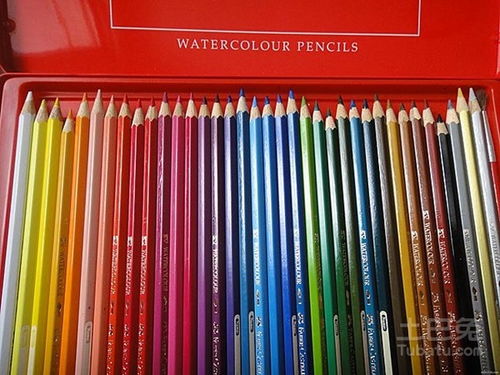 水溶性彩色铅笔怎么用