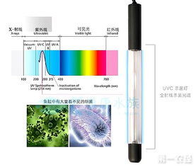 杀菌灯使用注意事项 杀菌灯工作原理