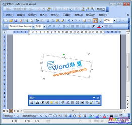 Word2003怎么添加背景图片 设置背景颜色呢 