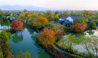 杭州西溪湿地自驾停车场收费标准,去西溪湿地游玩,应该如何做攻略?