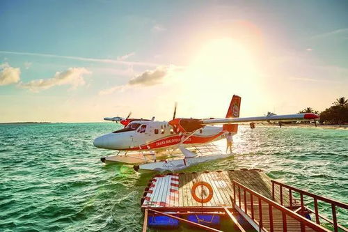 马尔代夫水飞上岛旅游体验自然的美丽（马尔代夫水飞是什么意思）