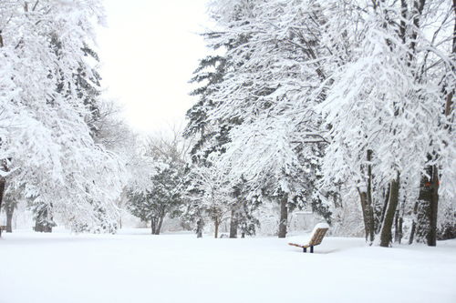 梦见下雪有哪些含义 