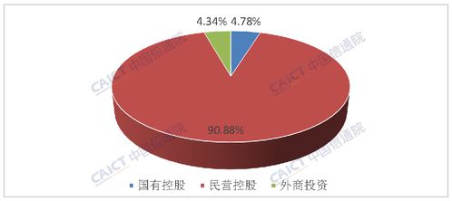 个人公司的经济性质填写与**申报有什么关系？